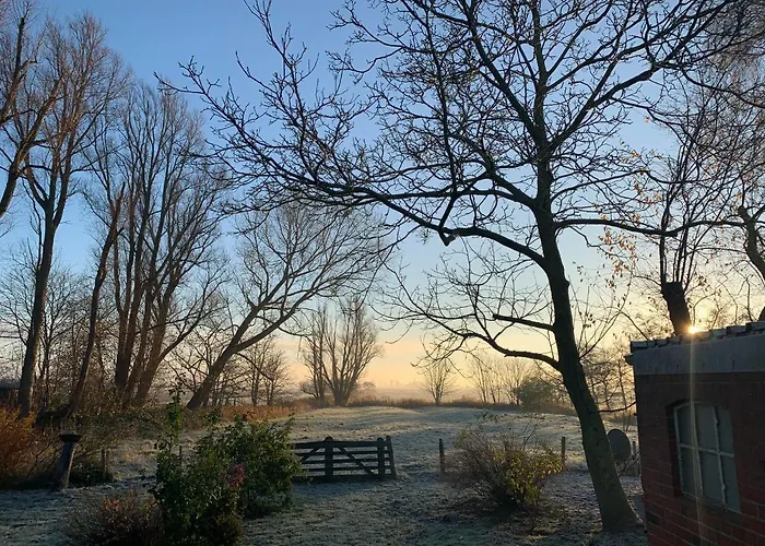 Kruemelkate Witzwort